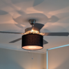 fantastic ceiling fan shade bundle. bonus a light diffuser. $40 value