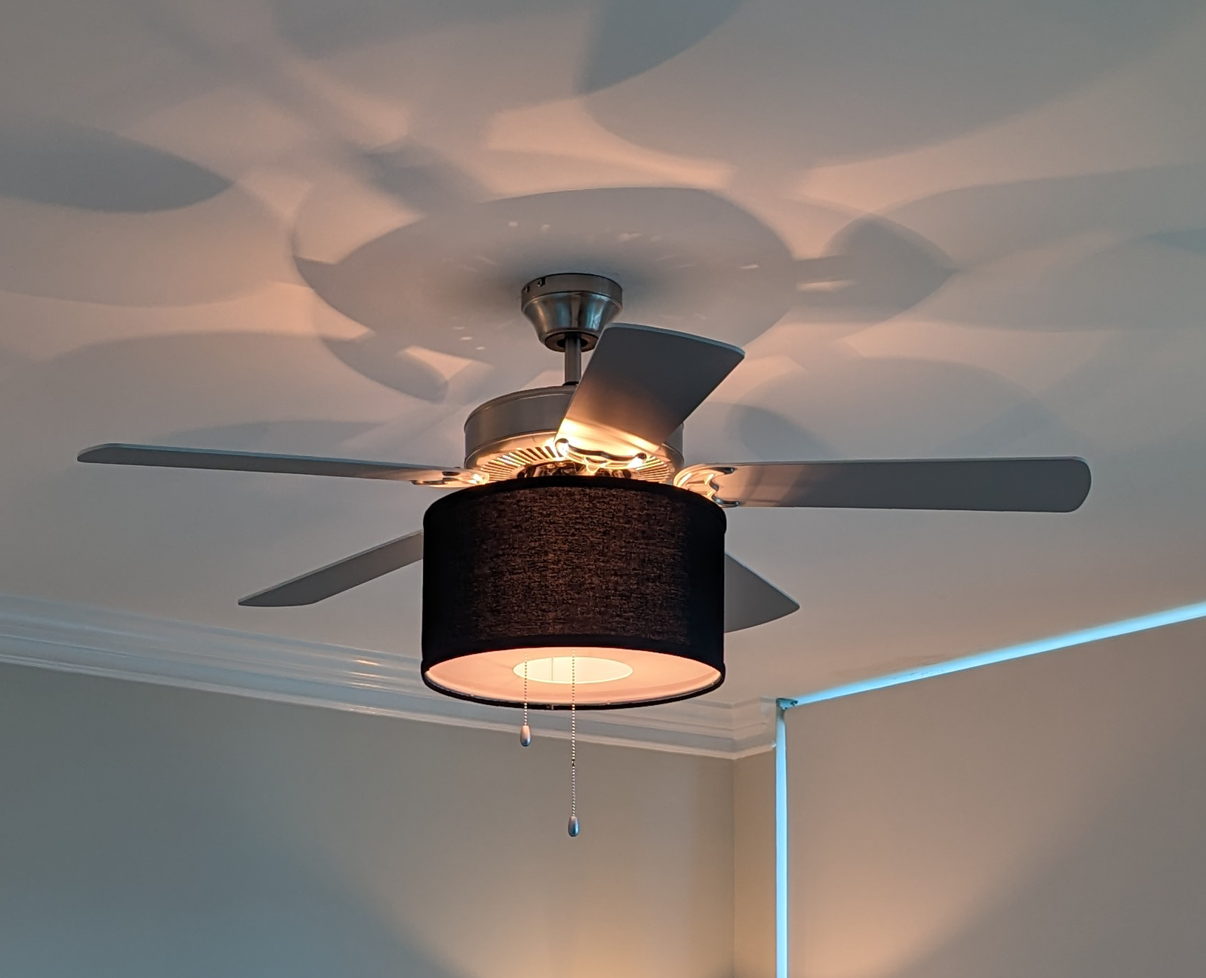 fantastic ceiling fan shade bundle. bonus a light diffuser. $40 value