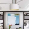 fantastic ceiling fan lampshade bundle. bonus a light diffuser. $40 value