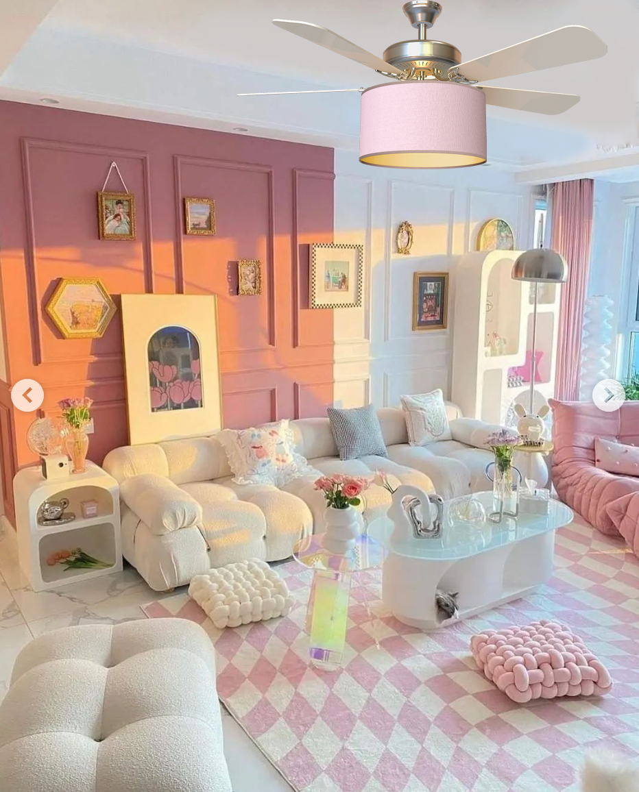 fantastic bundle ceiling fan clips & shade. bonus a light diffuser. $40 value