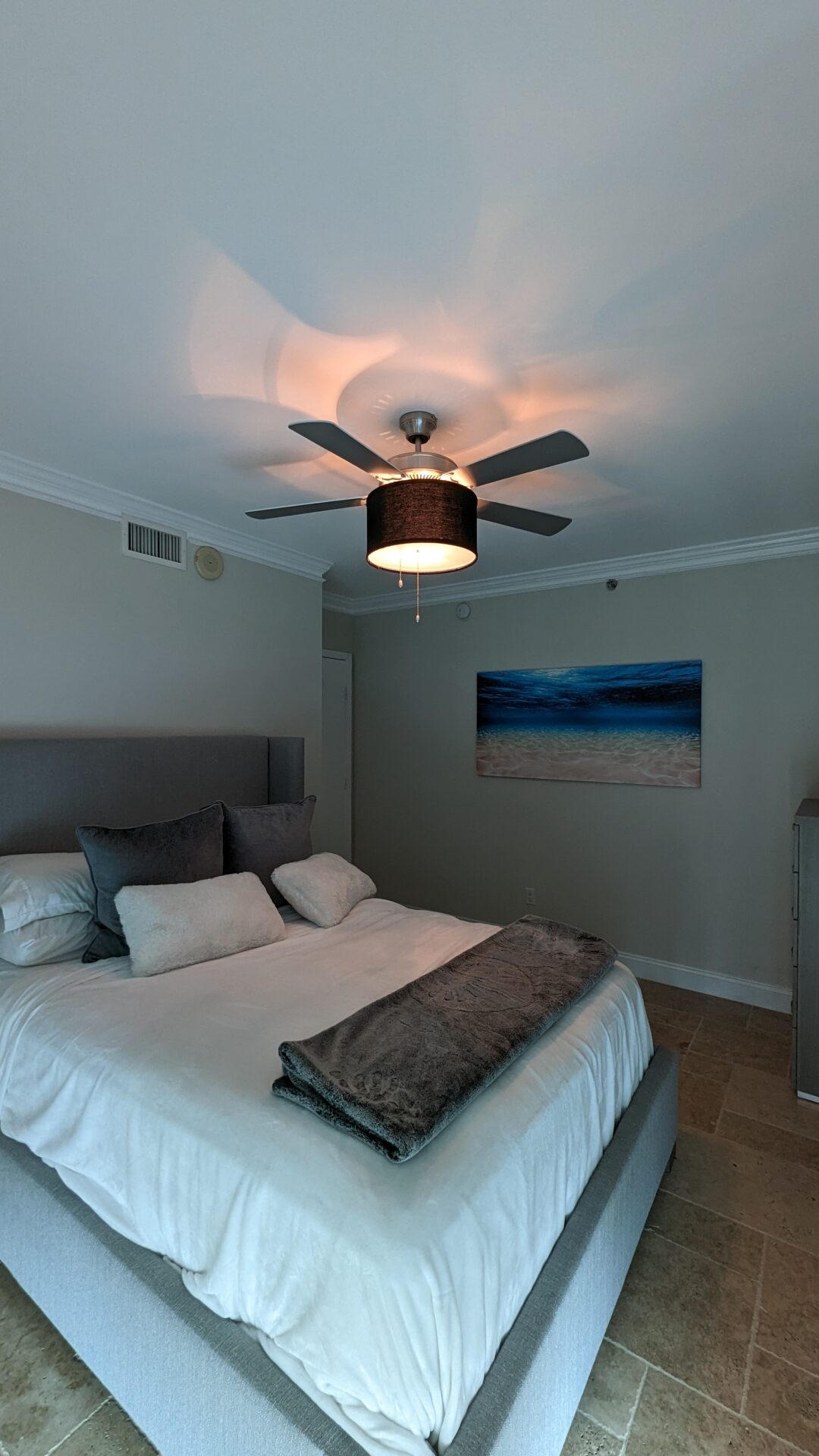 fantastic ceiling fan shade bundle. bonus a light diffuser. $40 value