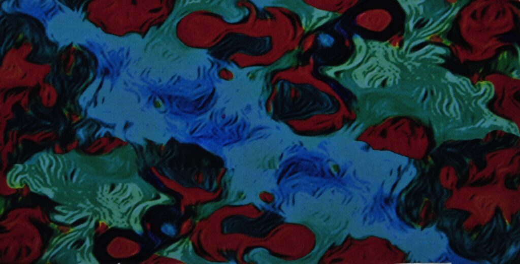 Nocturnal Flower Fantastic Shade Clips