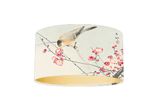 songbird on blossom branch