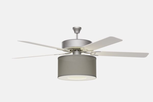 fan silver 0001